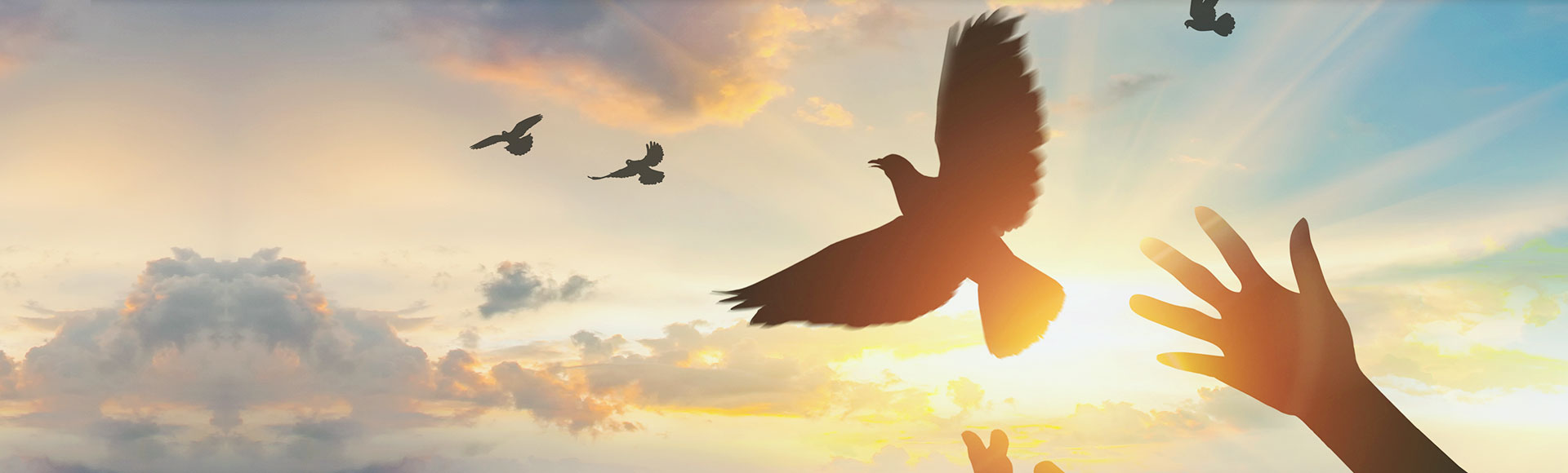 �ڲ�tengbo9885_��ҳ(��ӭ��)