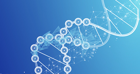 �ڲ�tengbo9885_��ҳ(��ӭ��)