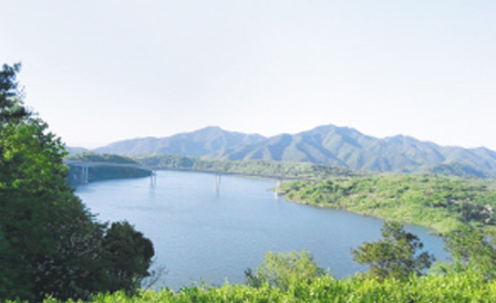 �ڲ�tengbo9885_��ҳ(��ӭ��)