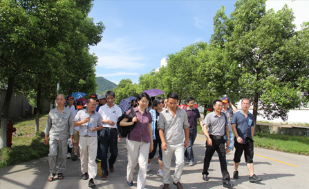 �ڲ�tengbo9885_��ҳ(��ӭ��)