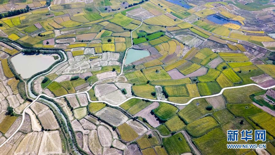 ÌÚ²©tengbo9885_Ê×Ò³(»¶ÓÄú)