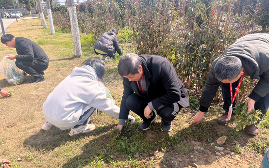 1713935966111996B2WQ.png image.png